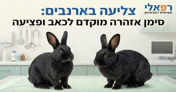 ארנב צולע סימן אזהרה