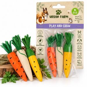 צעצוע עץ גזר תירס – Urban farm